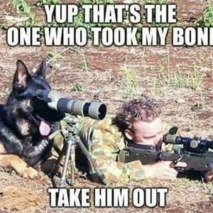 Meet your Posher, Seth